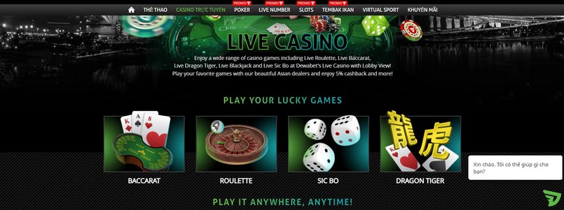 Cá cược casino trực tuyến